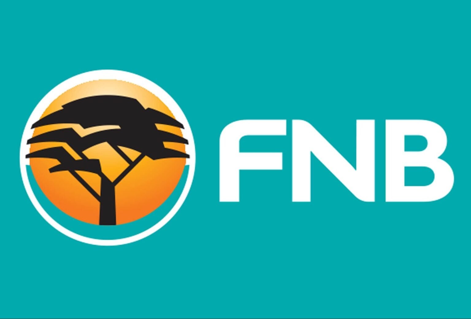 how-to-check-my-fnb-balance-online